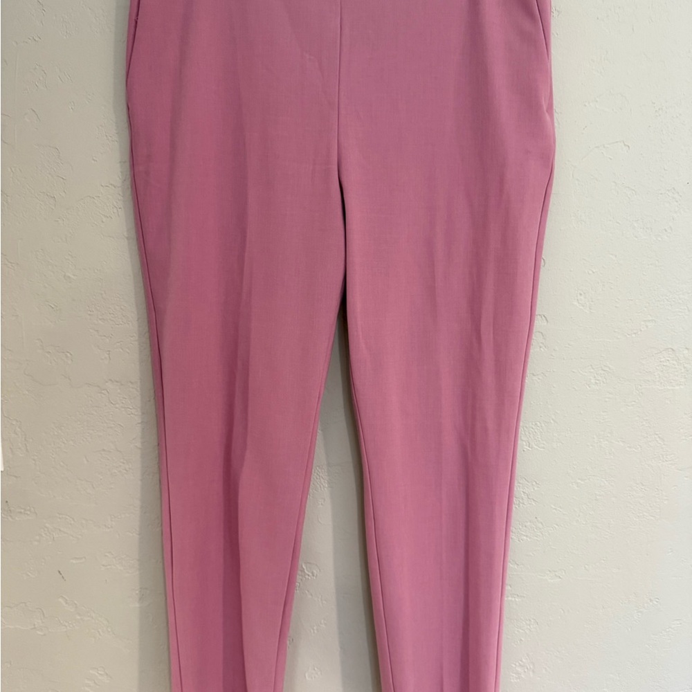Ann Taylor Women's Pants